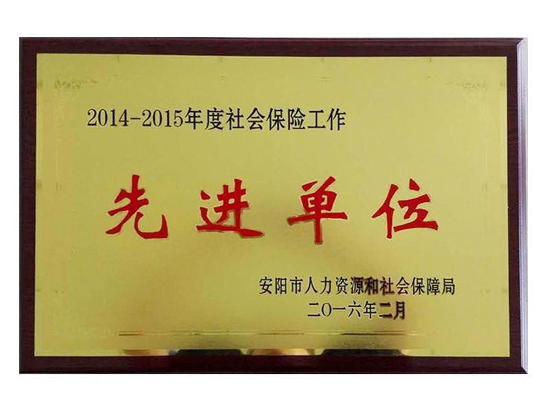 2015年社會保險工作先 進(jìn)單位