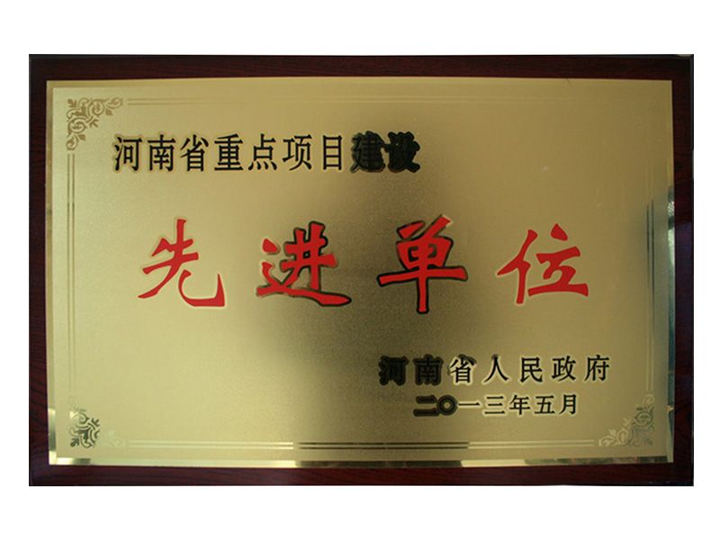 2013年河南省重 點(diǎn)項目建設(shè)先 進(jìn)單位